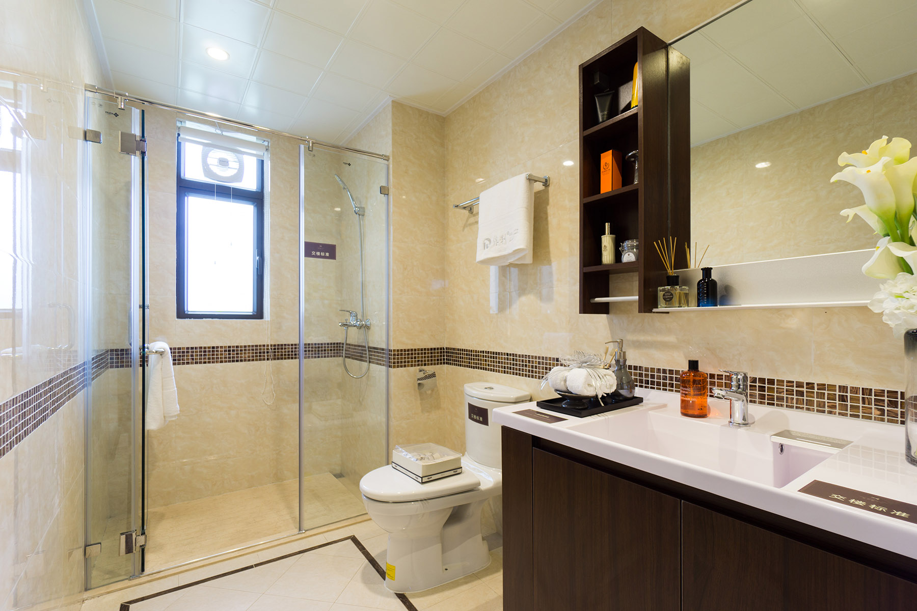 ����ŵ��ɽ